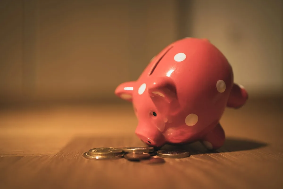 Piggy bank with coins representing savings and offset account balance