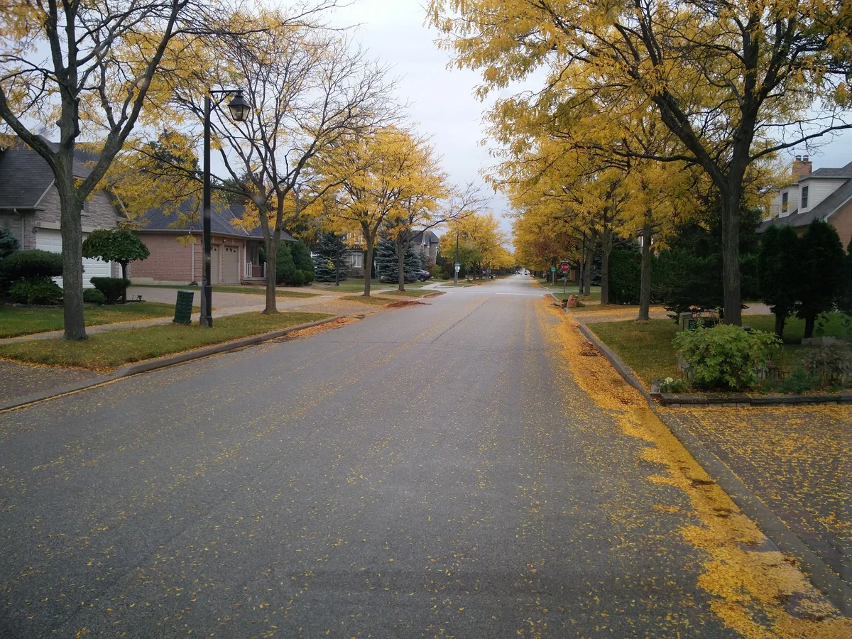 Real estate for sale sign in front of a suburban Canadian home during autumn
